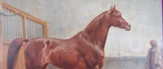 Описание и особенности ганноверской породы лошадей Ганноверы в России